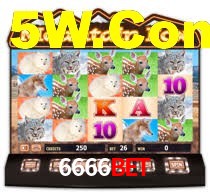 6666bet,6666bet login